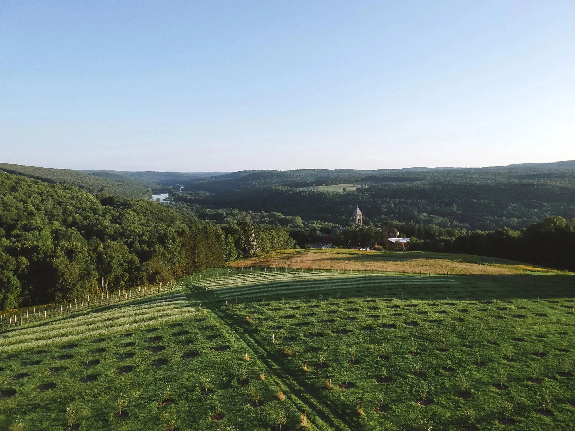 Seminary Hill Orchard & Cidery - Image 3