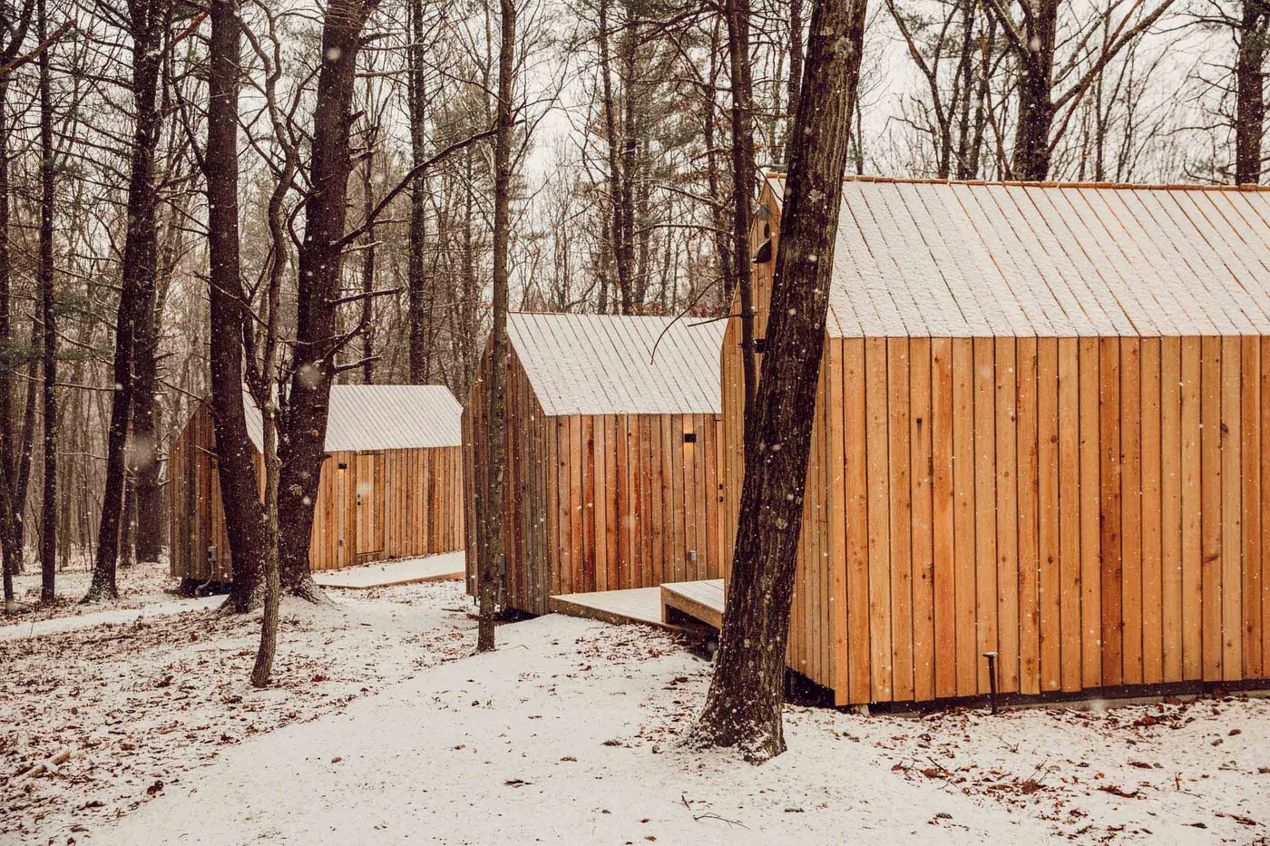 Gather Greene - Image 3