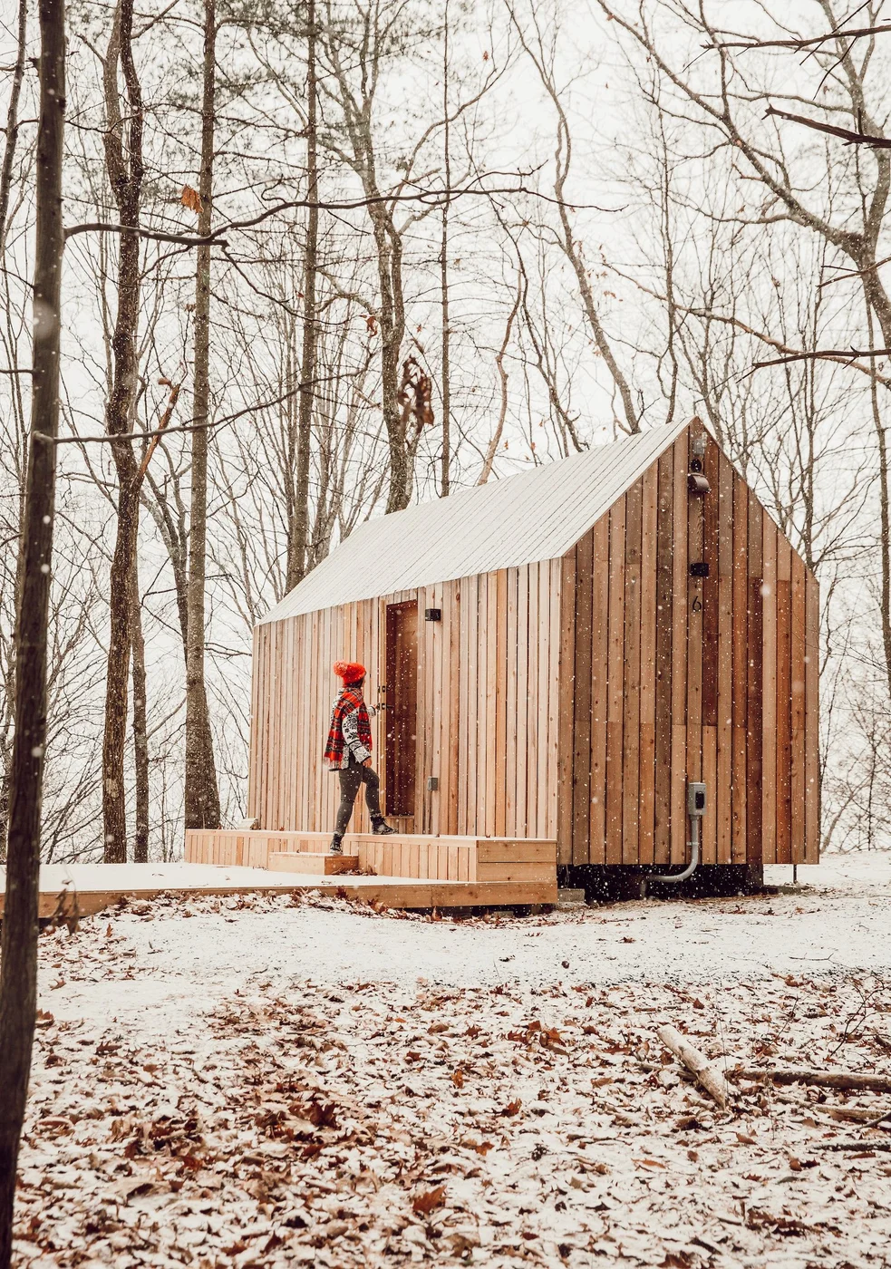 Gather Greene - Image 4