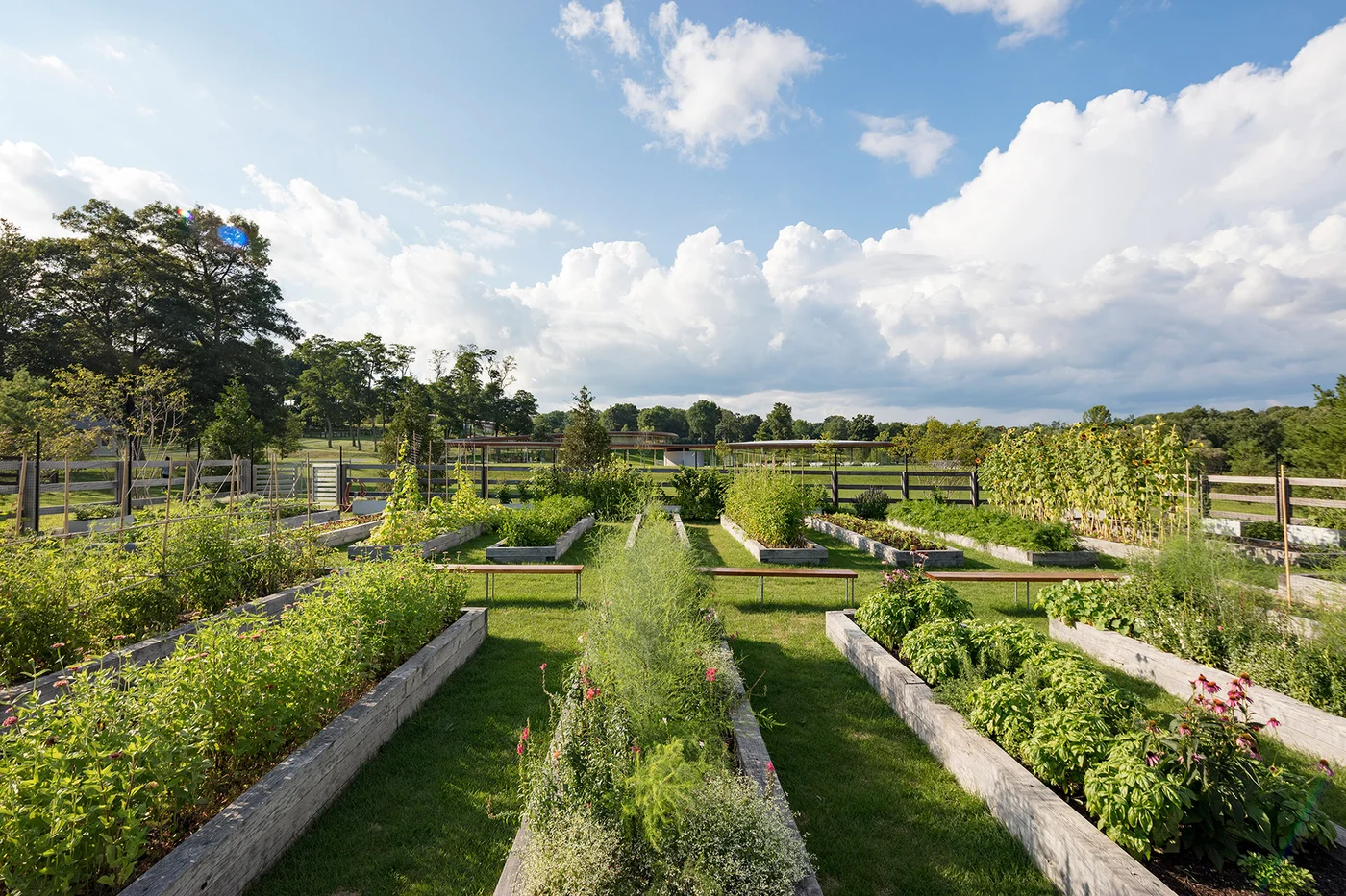 Grace Farms - Image 3