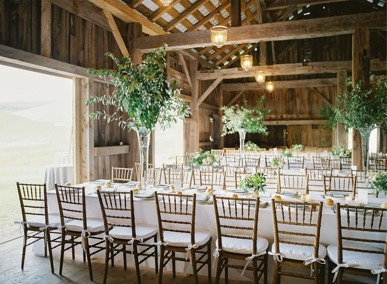 Hayfield Catskills - Image 2