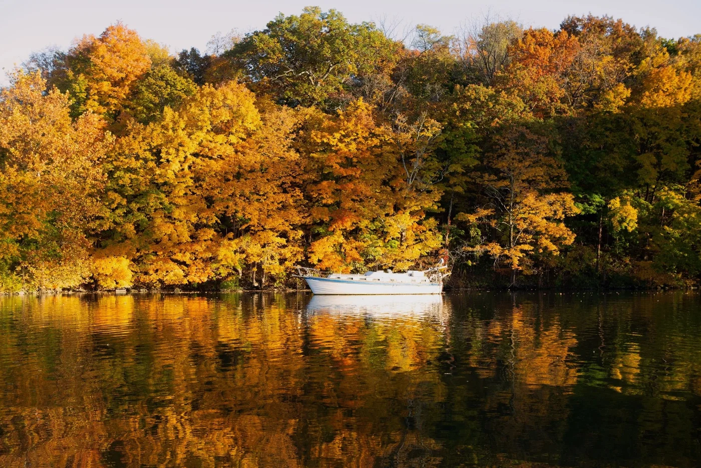 Kingston Carriage House - Image 6