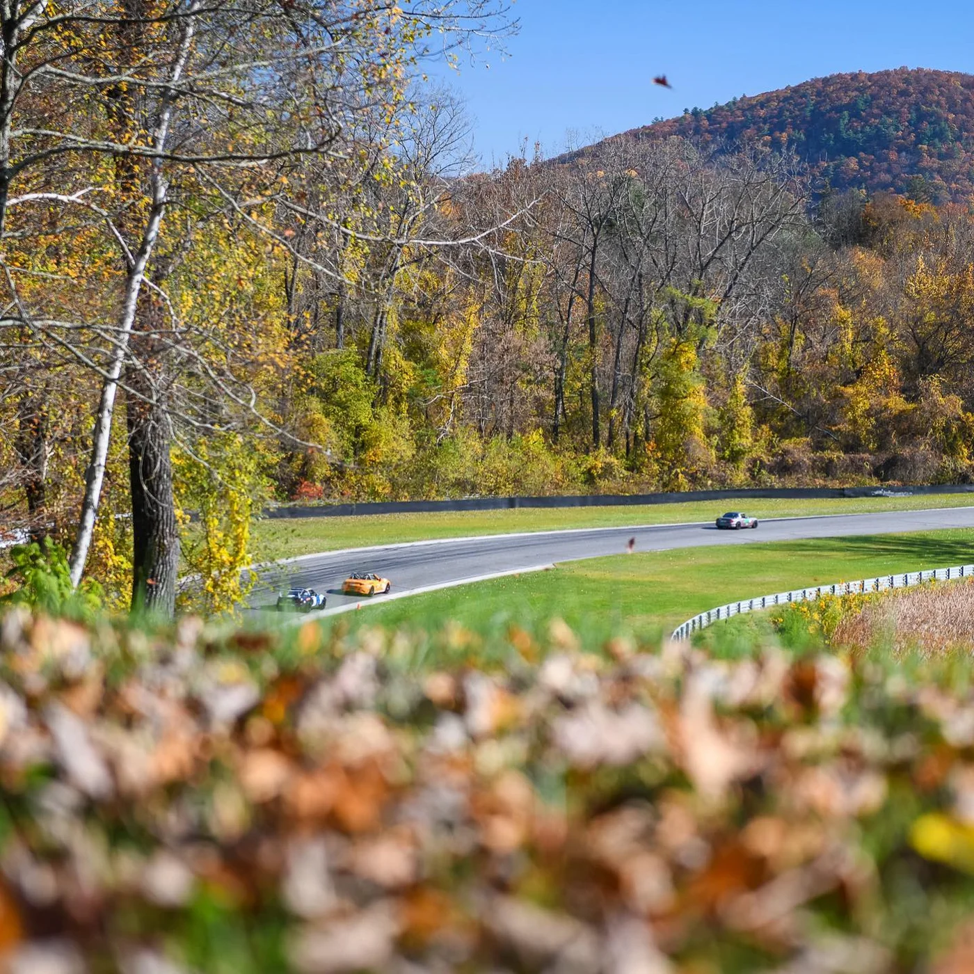 Lime Rock Park - Image 2