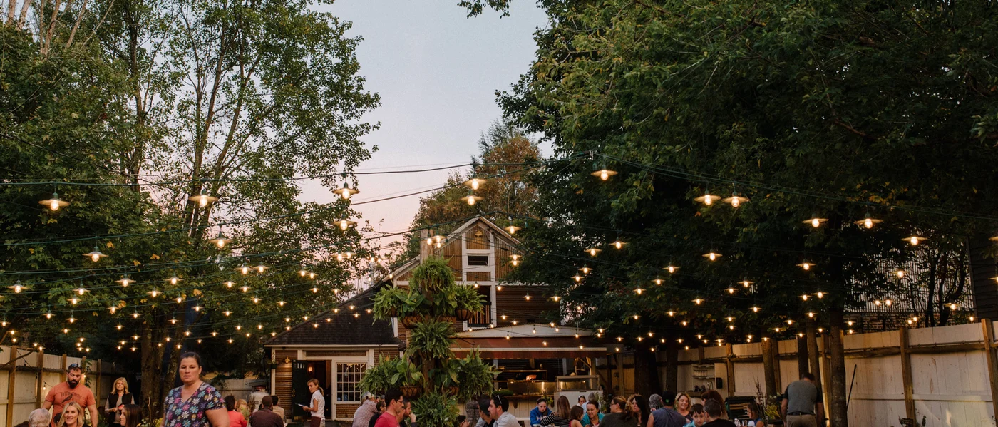 The Kaatskeller - Image 3