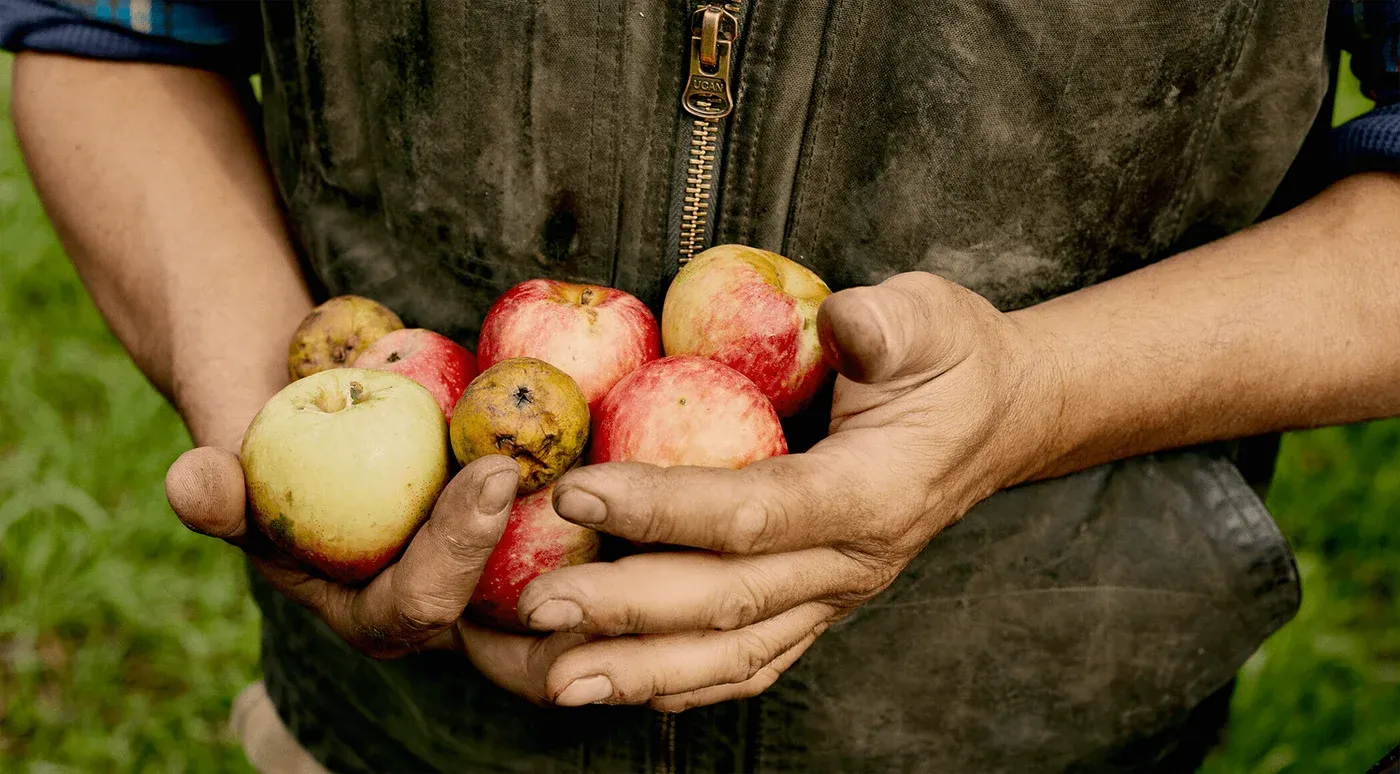 Westwind Orchard & Cidery - Image 2