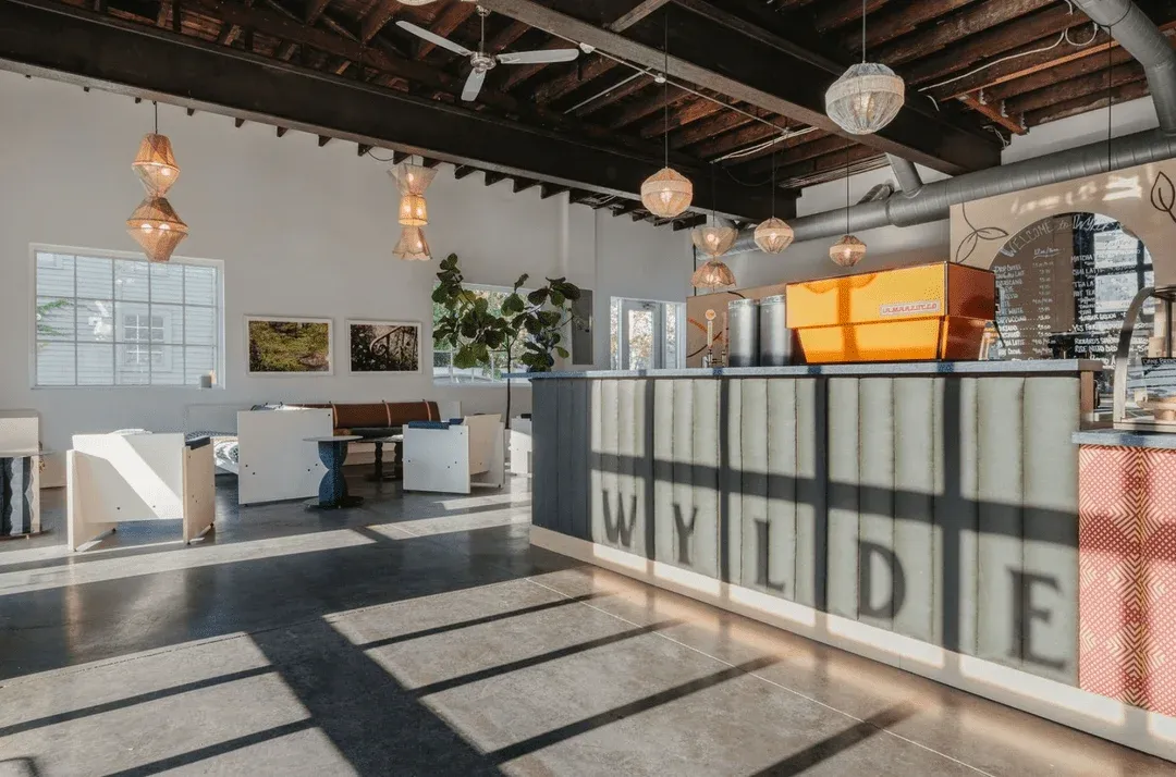 WYLDE Hudson - Image 1