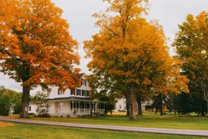 Wylder Hotel Windham